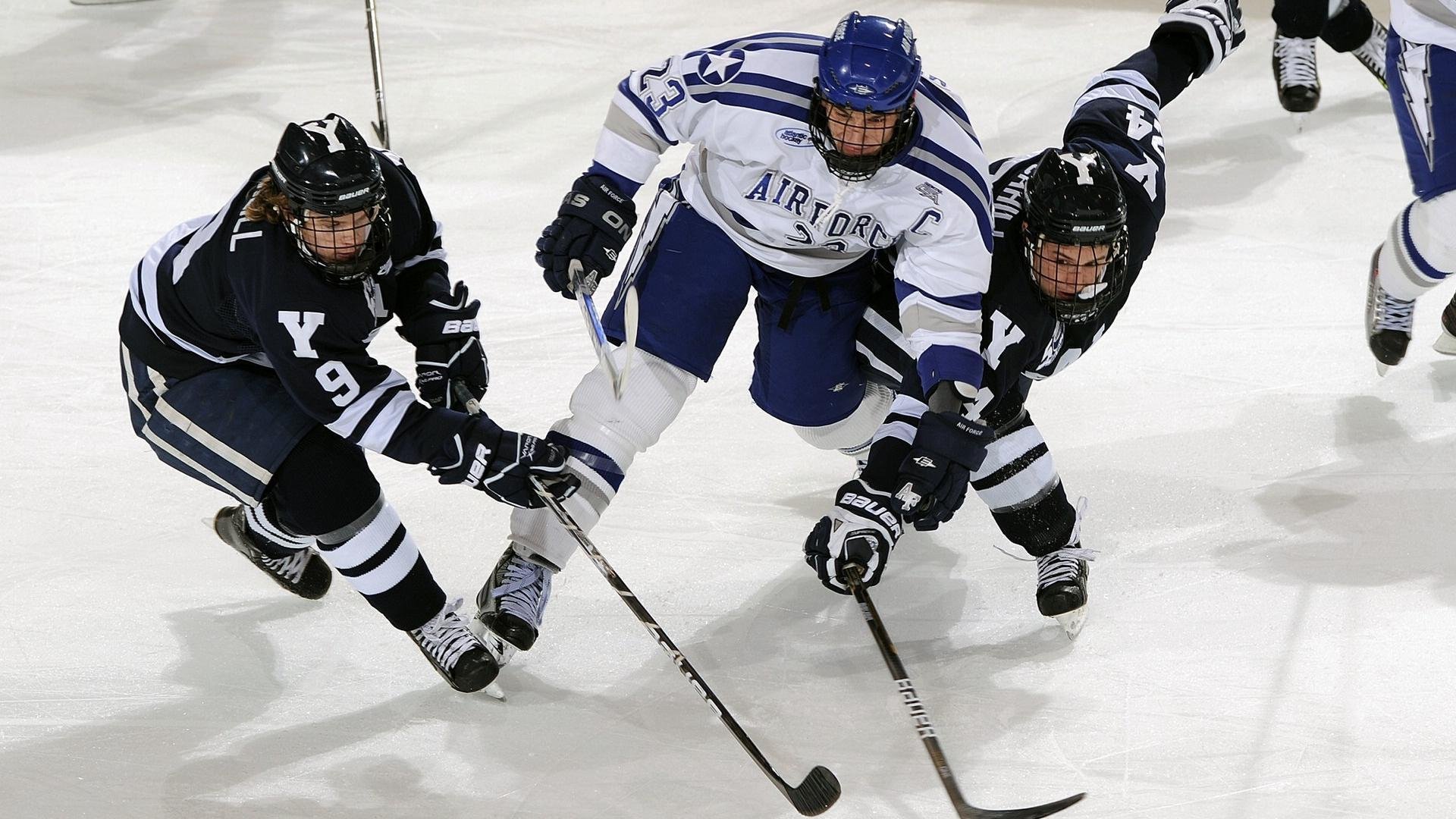 公牛队表现稳健,期待突破,公牛的队